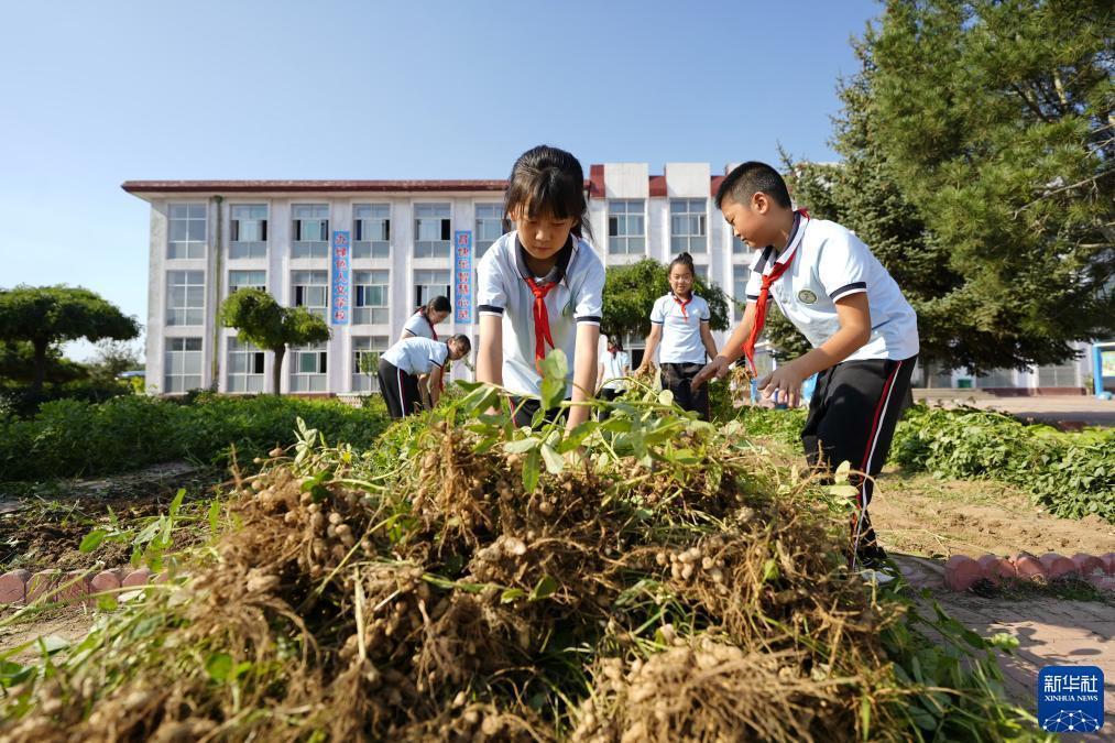 姚记斗地主有没有外挂